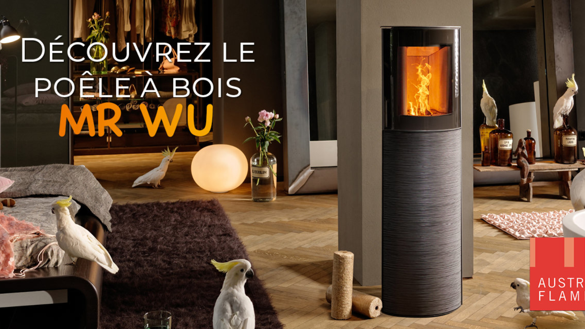 Poele a bois austroflamm Mr Wu