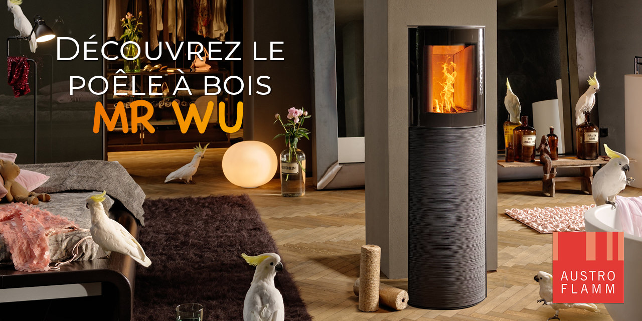 Poele a bois austroflamm Mr Wu